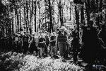 Piesza pielgrzymka do Łagiewnik 2014