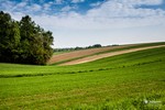 Piesza pielgrzymka do Łagiewnik 2014