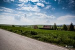 Piesza pielgrzymka do Łagiewnik 2014