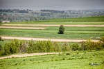 Piesza pielgrzymka do Łagiewnik 2014