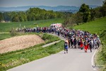 Piesza pielgrzymka do Łagiewnik 2014