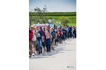 Piesza pielgrzymka do Łagiewnik 2014