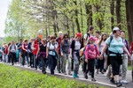 Piesza pielgrzymka do Łagiewnik 2015