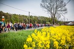 Piesza pielgrzymka do Łagiewnik 2015