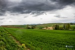 Piesza pielgrzymka do Łagiewnik 2015