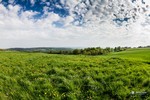 Piesza pielgrzymka do Łagiewnik 2015