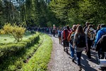 Piesza pielgrzymka do Łagiewnik 2015
