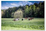 Piesza pielgrzymka do Łagiewnik 2016