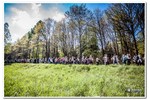 Piesza pielgrzymka do Łagiewnik 2016