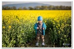 Piesza pielgrzymka do Łagiewnik 2016