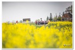 Piesza pielgrzymka do Łagiewnik 2016