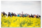 Piesza pielgrzymka do Łagiewnik 2016