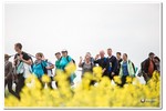 Piesza pielgrzymka do Łagiewnik 2016