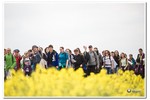 Piesza pielgrzymka do Łagiewnik 2016