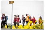 Piesza pielgrzymka do Łagiewnik 2016